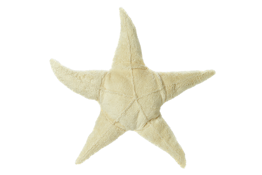 Senger Naturwelt – Grote Zeester Warmtekussen (Wit) ⭐🤍