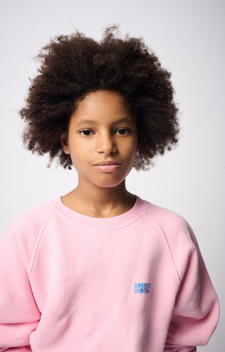 American Vintage - Izubird sweater