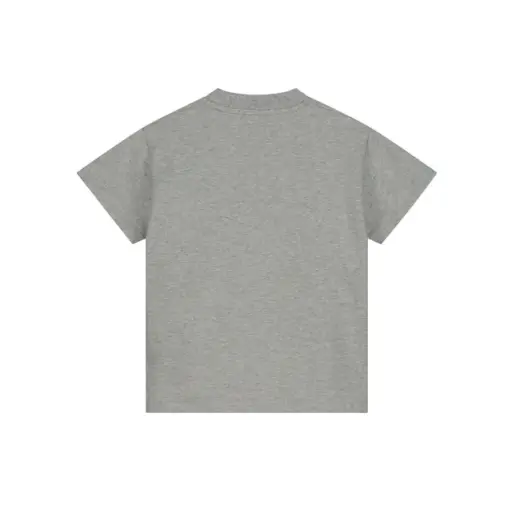 Charlie Petite - Pedro T-shirt (grey melange)