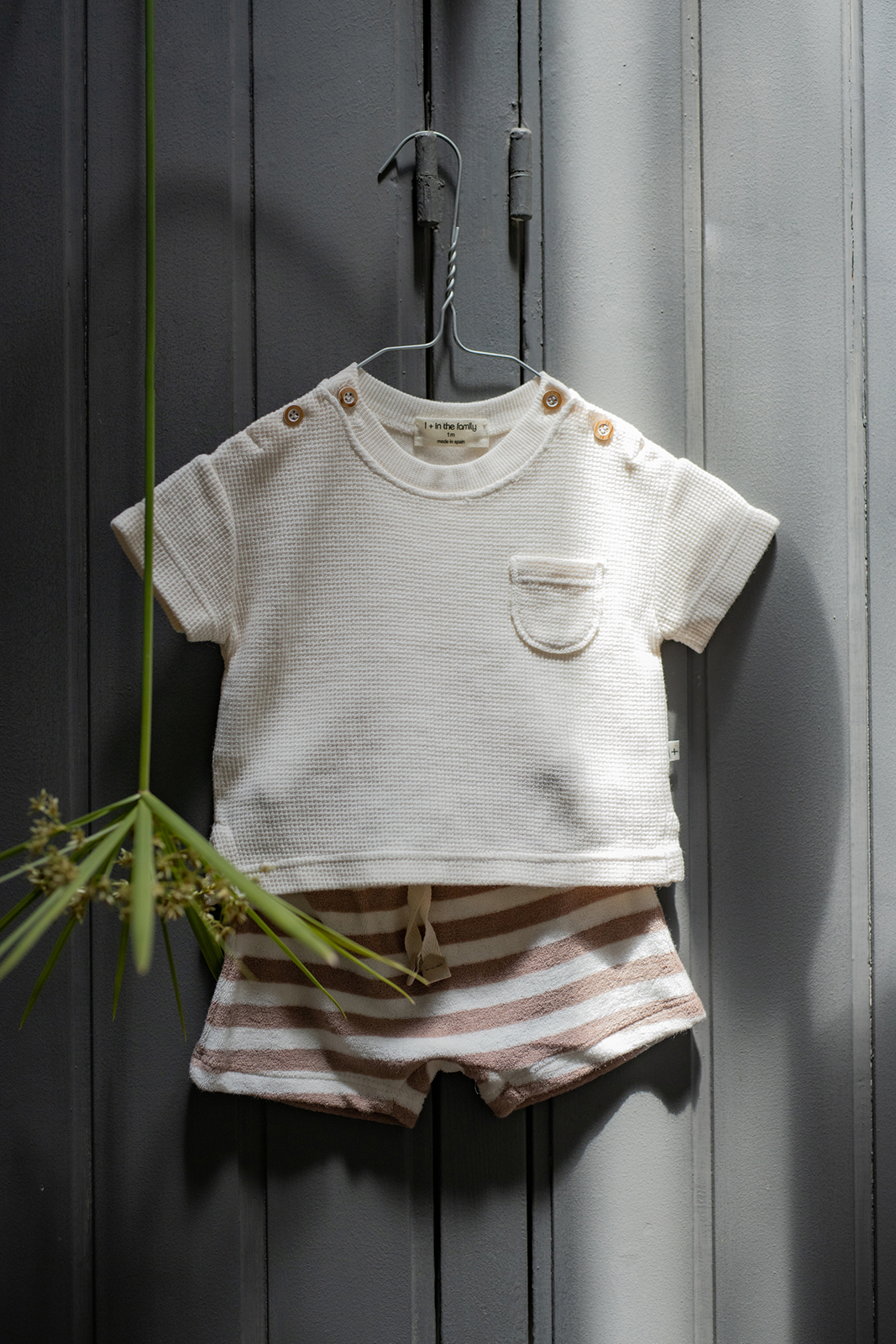 1+ in the family - S.sleeve t-shirt - Ecru - 4