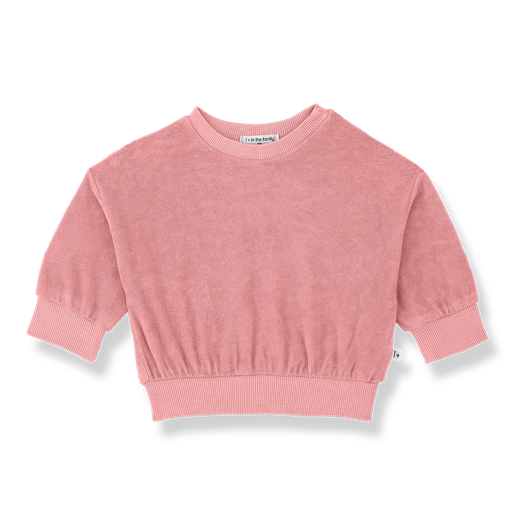 1+ in the family - Sweater - Strawberry