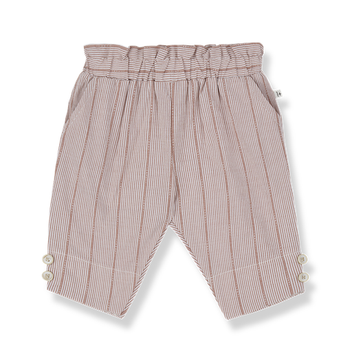 1+ in the family - Pants - Rose