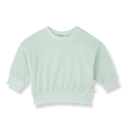 1+ in the family - Sweater - Green