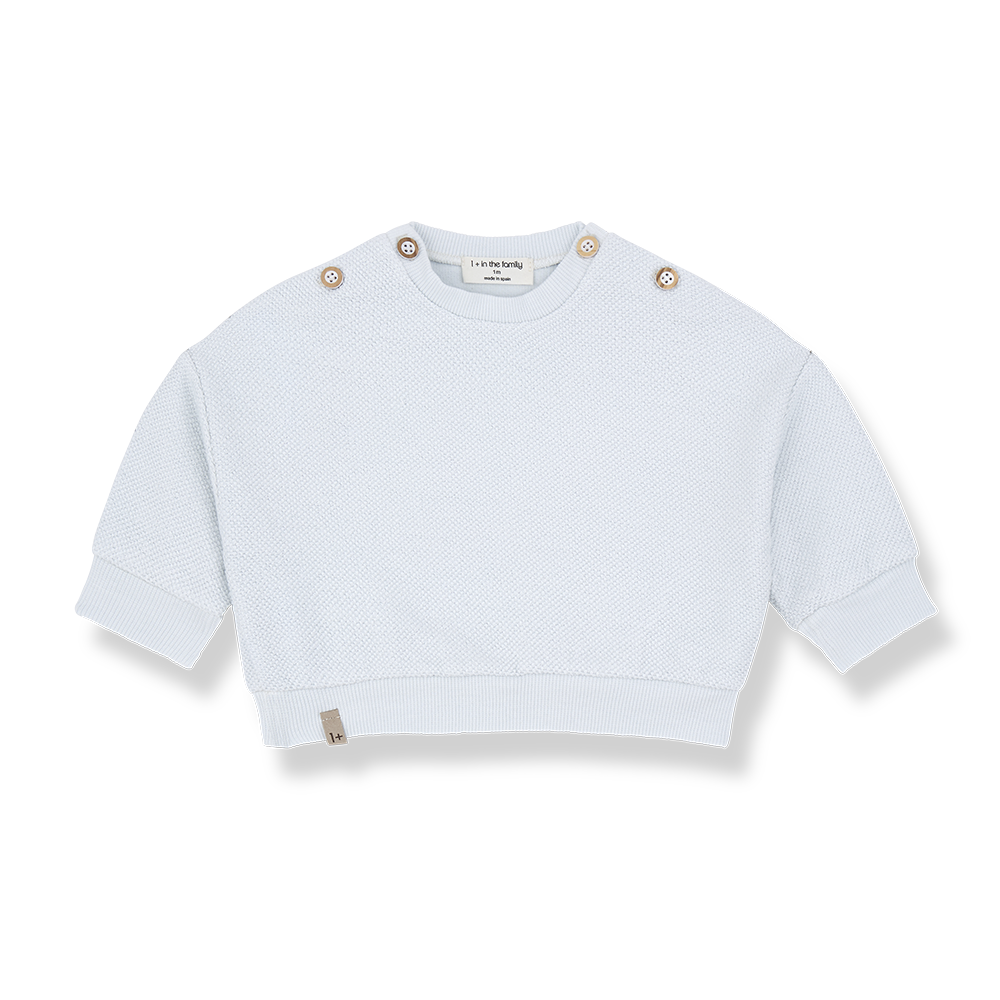 1+ in the family - Sweater - Misty-blue - 1