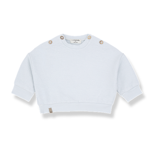 1+ in the family - Sweater - Misty-blue