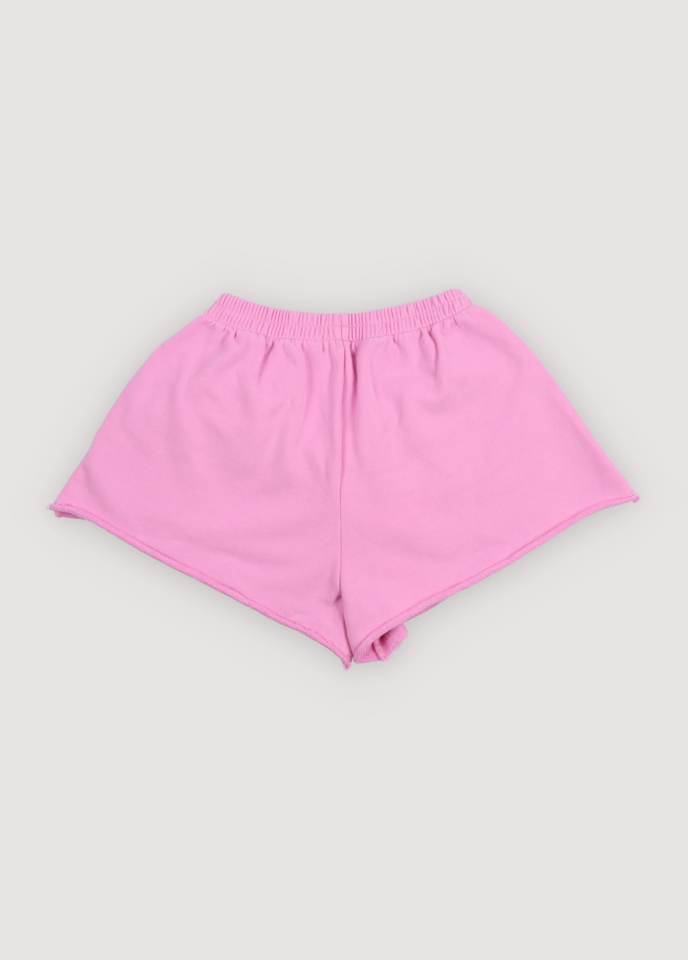 The New Society - Tns logo short - Pink lavander - 2