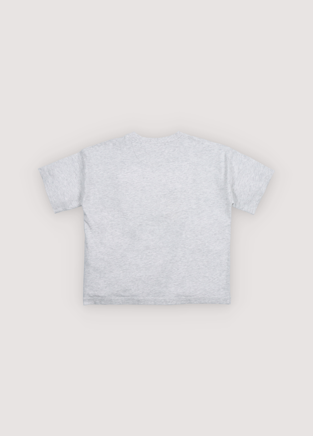 The New Society - Tns logo t-shirt - Light grey melange - 2