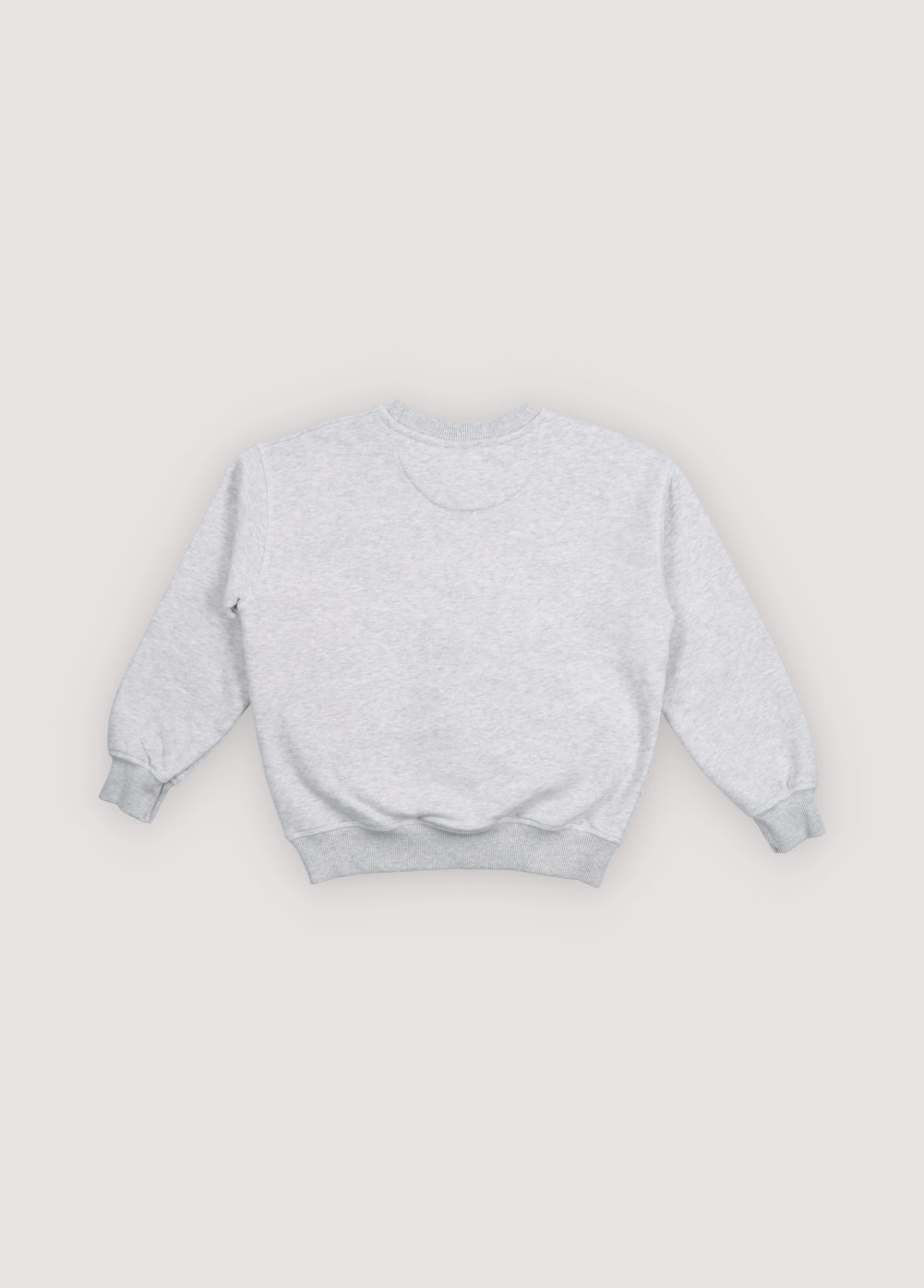 The New Society - Tns logo sweatshirt - Light grey melange - 3