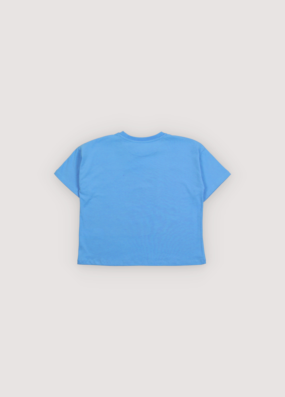 The New Society - Tns logo t-shirt - Iris whisper - 1