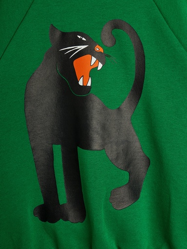 Mini Rodini - Panther sweatshirt - Green