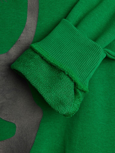 Mini Rodini - Panther sweatshirt - Green