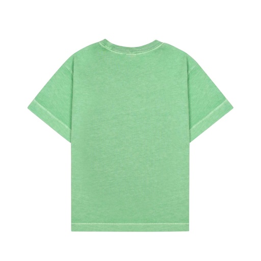 Jelly Mallow - Fruits pigment t-shirt - Light green