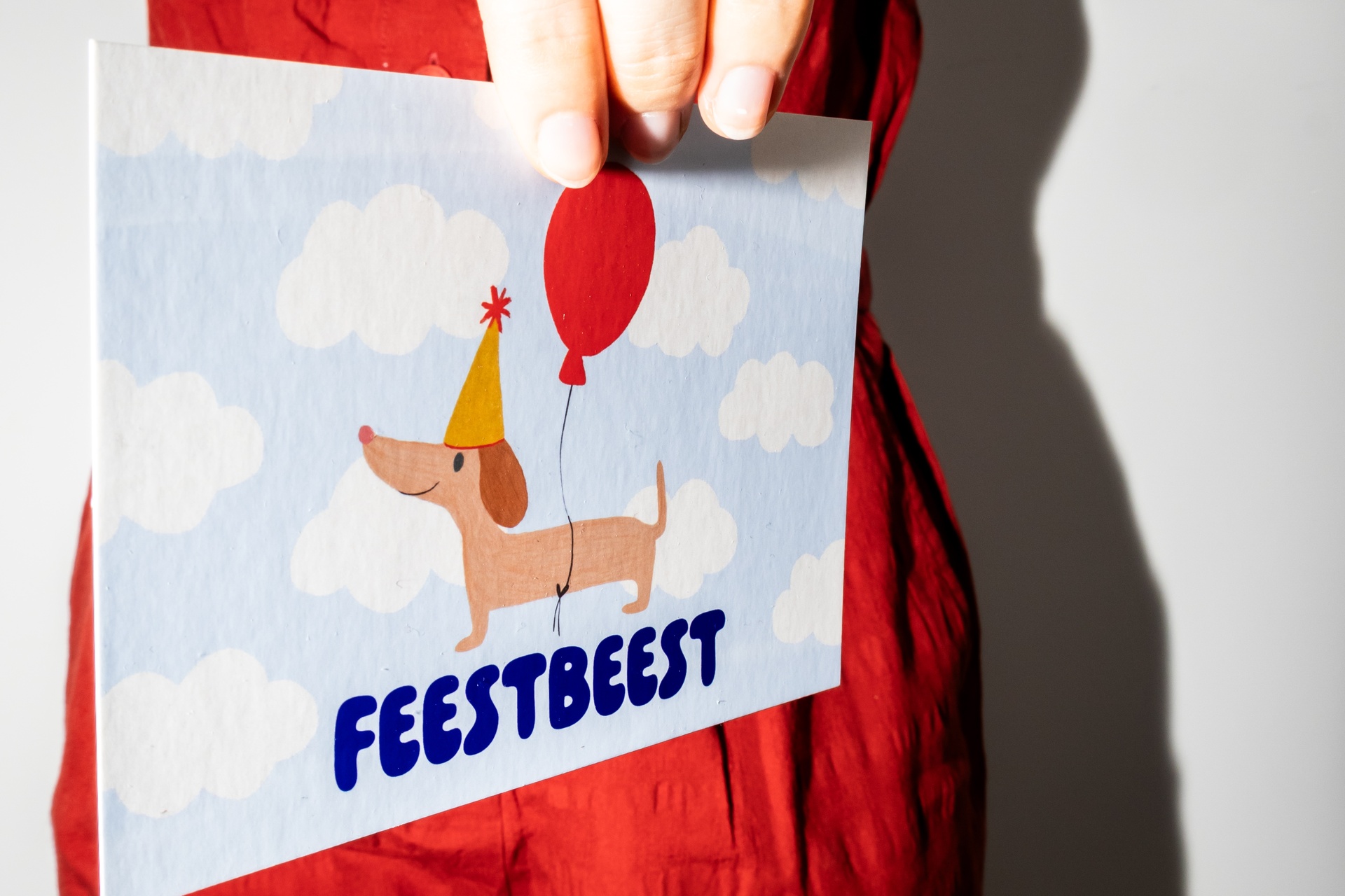 Atelier Lou - Wenskaart Feestbeest - 1