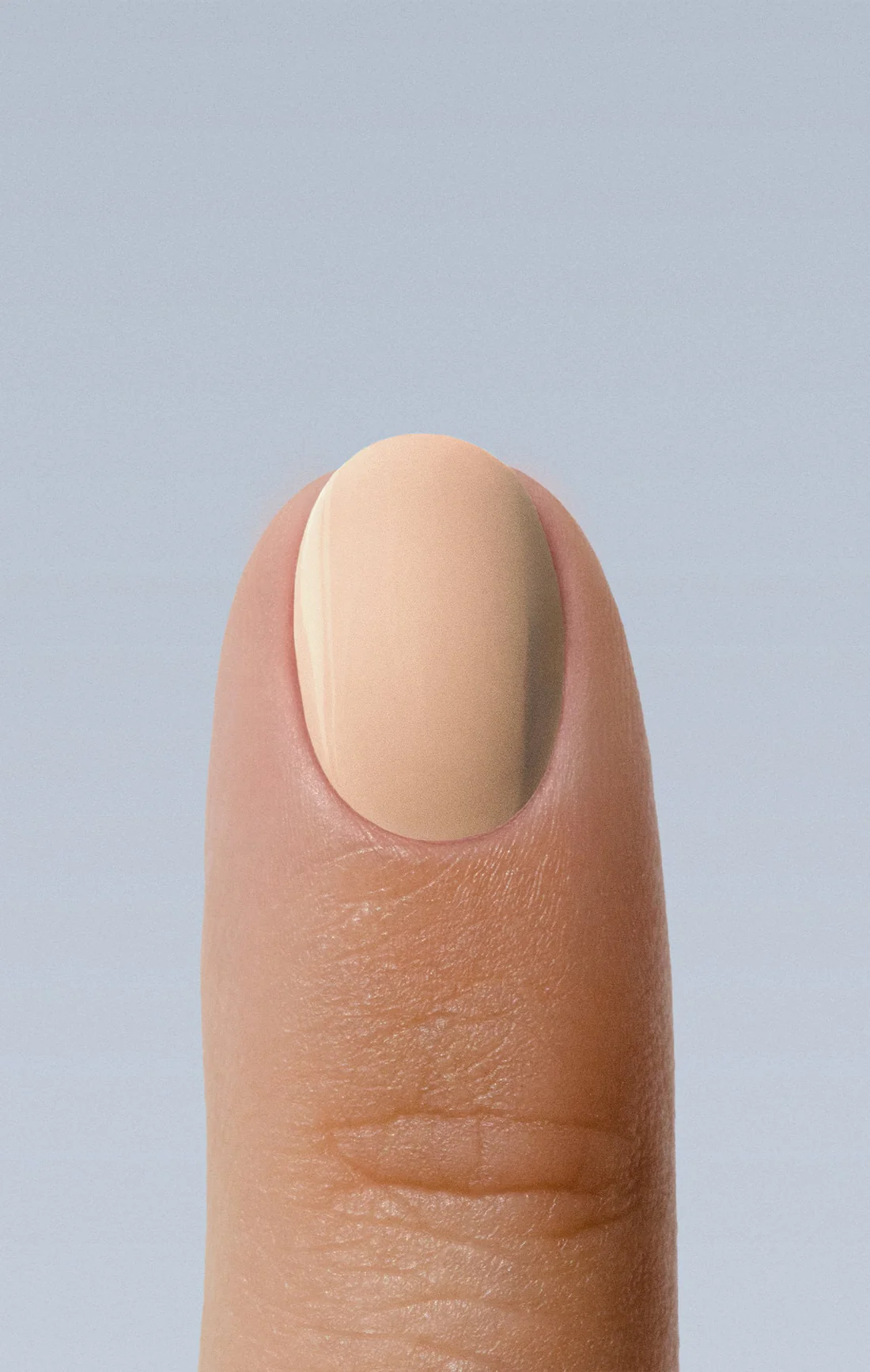 Karolin Van Loon - 12 pampas beige - 1